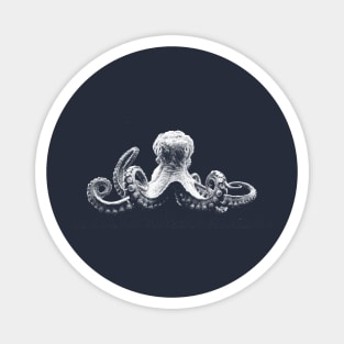 octopus Magnet